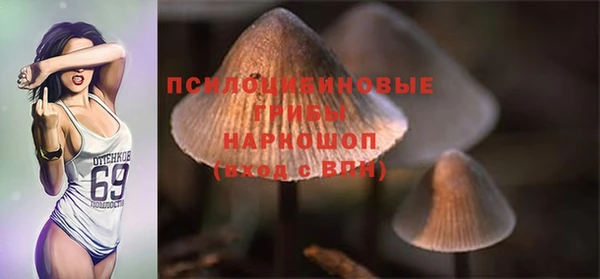 прущие грибы Семилуки