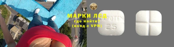 прущие грибы Семилуки