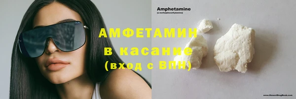 прущие грибы Семилуки