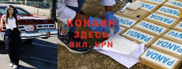 прущие грибы Семилуки