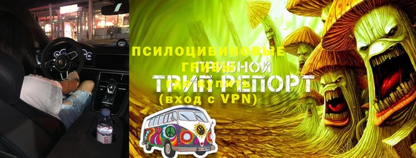 прущие грибы Семилуки