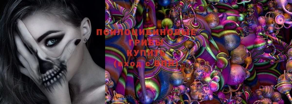 прущие грибы Семилуки