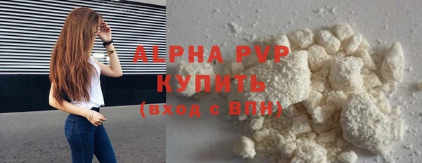 прущие грибы Семилуки